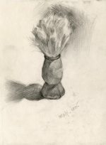 Shaving brush