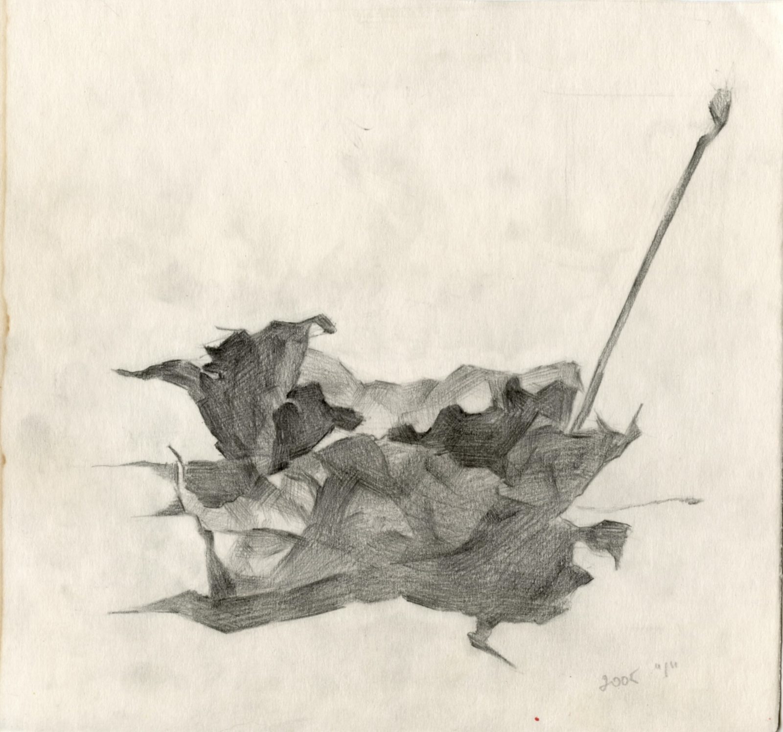 Maple leaf "1"