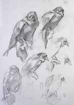Stuffed Raven