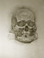 Scull 2