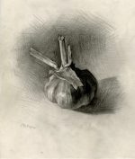 Garlic 2