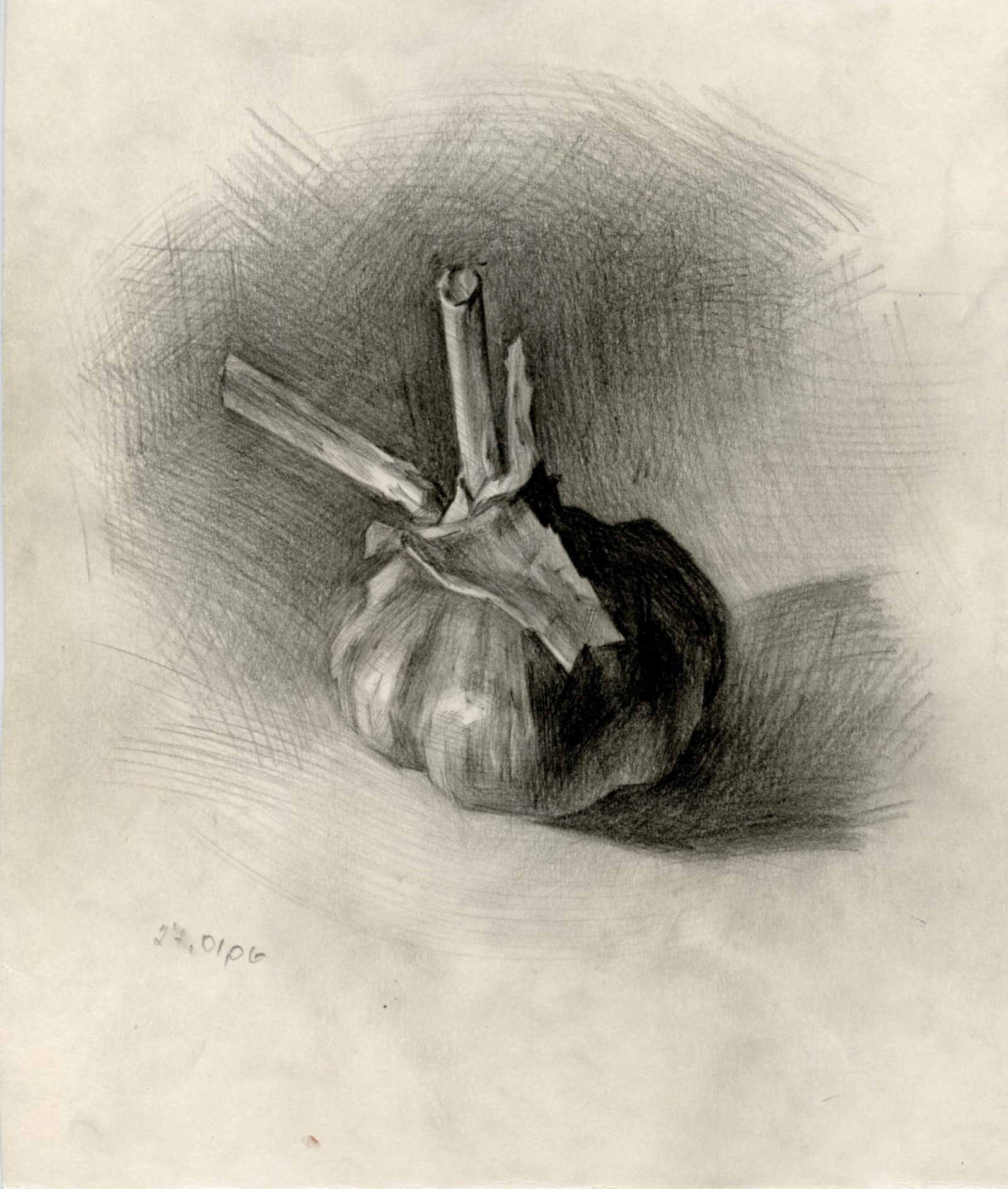 Garlic 2