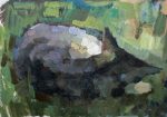 Sleeping cat