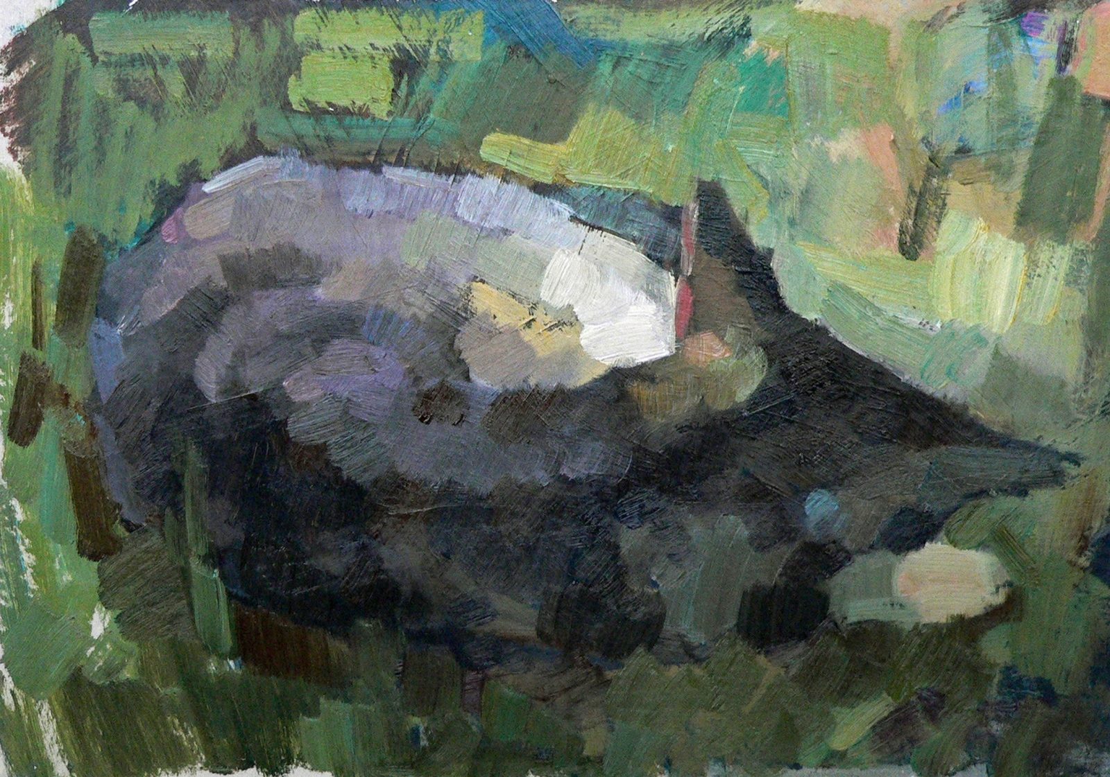 Sleeping cat