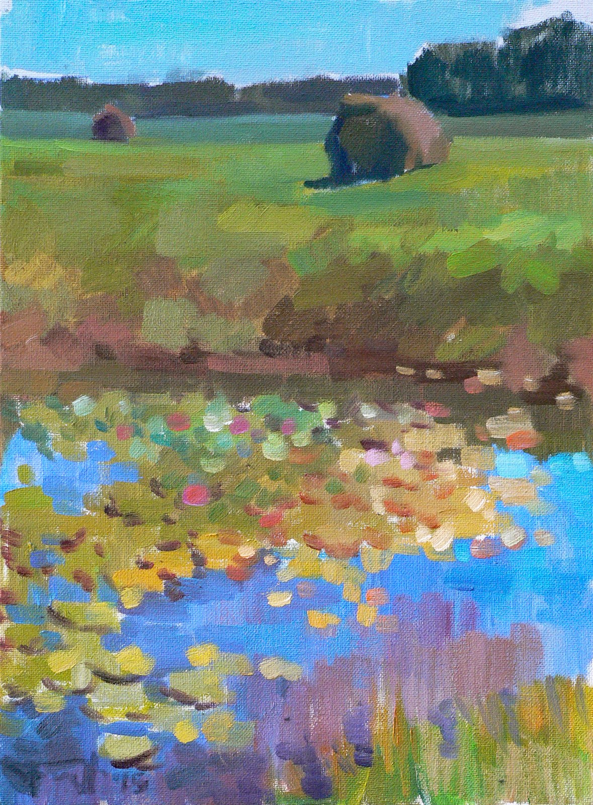 Etude, pond with water lilies, Varaklyany VBP150815 P150815 Etude, pond with water lilies, Varaklyany