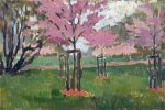 Study with cherry blossom
