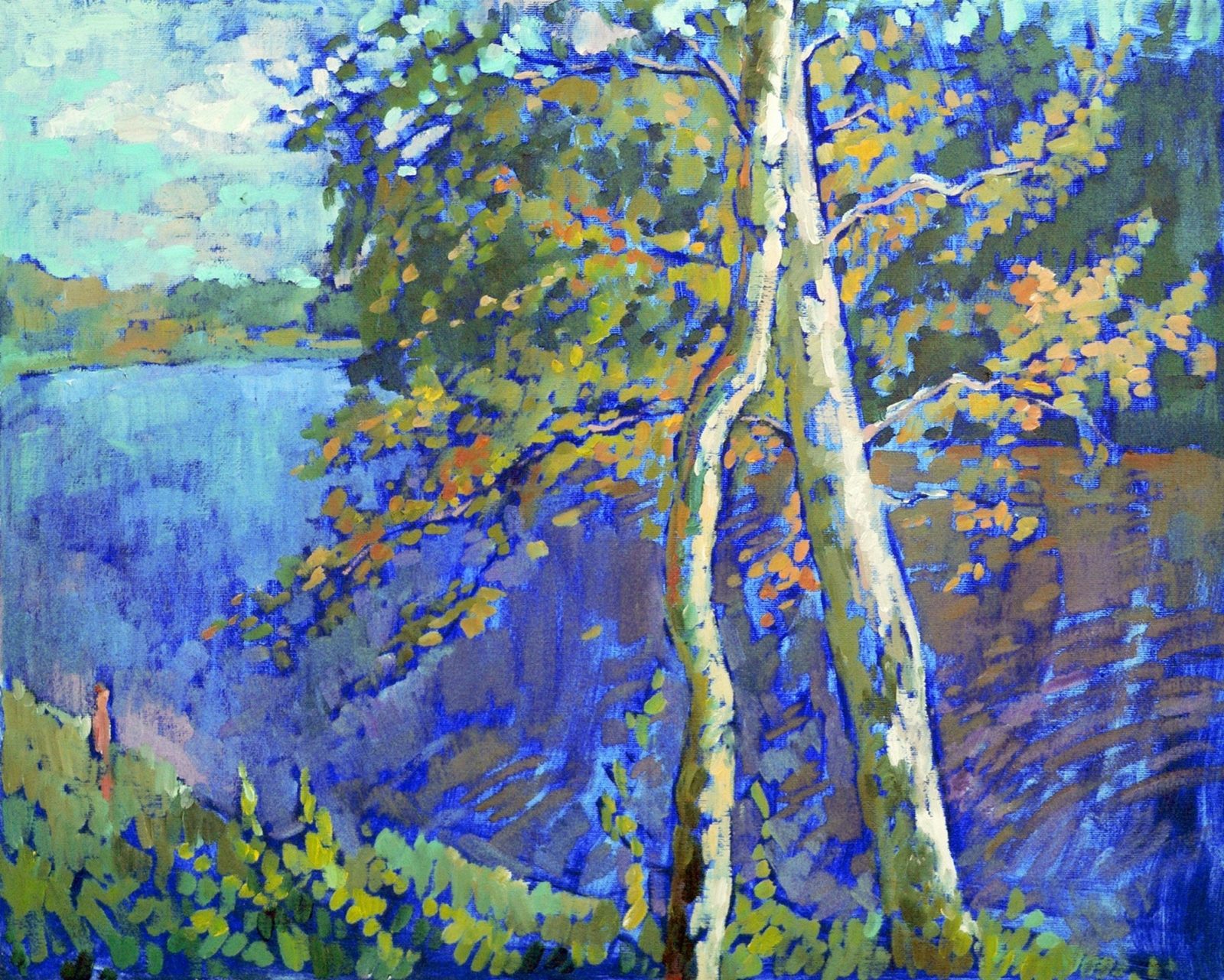 Birch trees in autumn, on the Ogre river