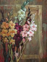 Gladiolus