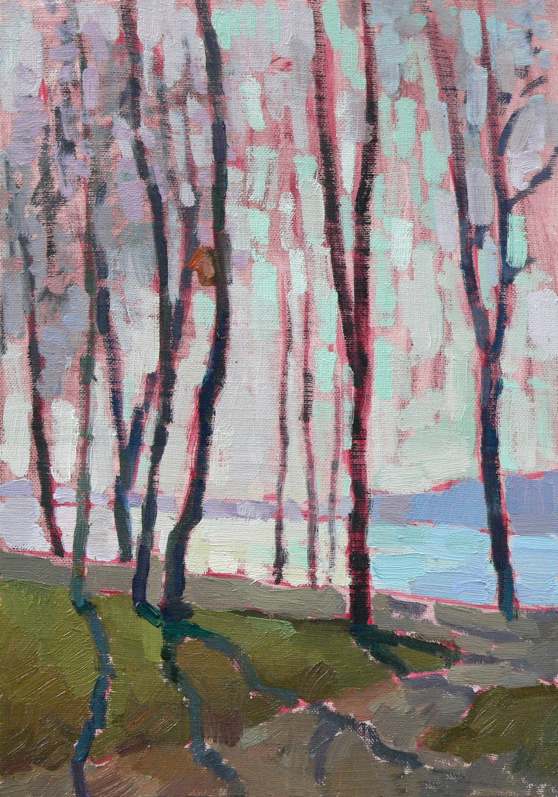 Spring near the river Daugava, Riga VBP170401 P170401 Spring near the river Daugava, Riga