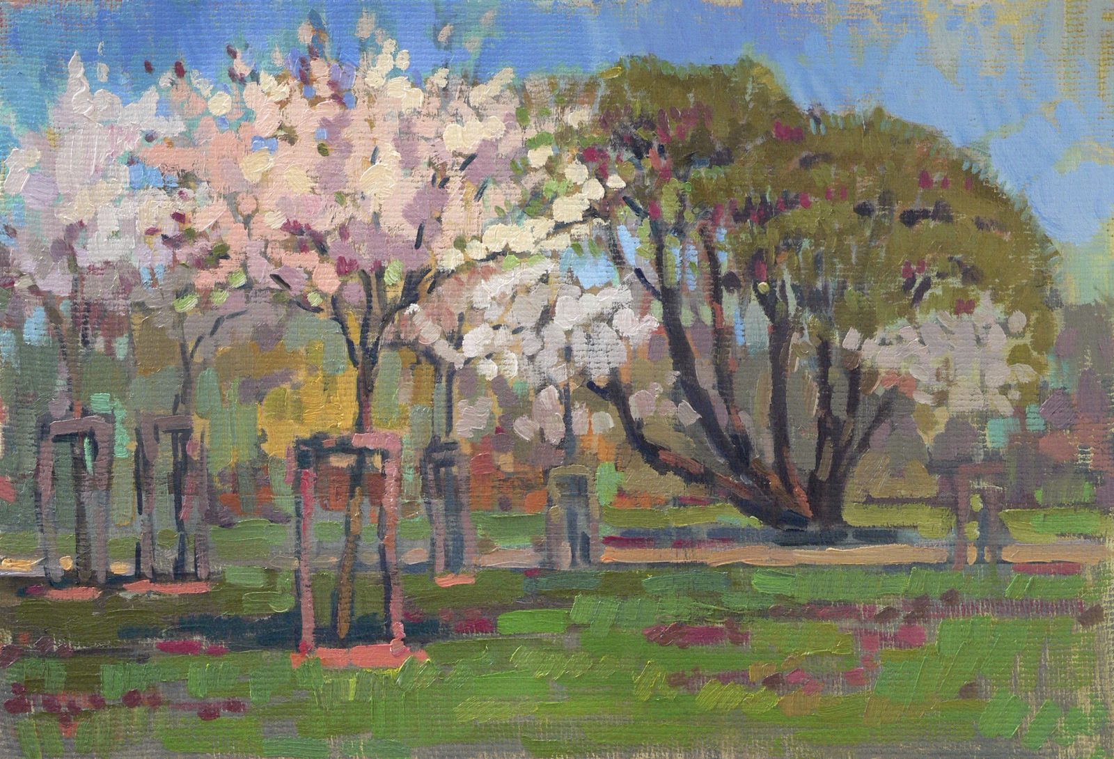 Cherry in Victory park