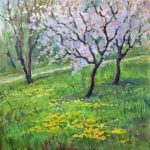 Blooming apple tree, Rezekne