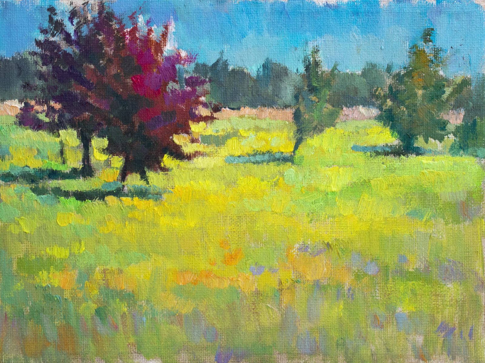 Grass with dandelions