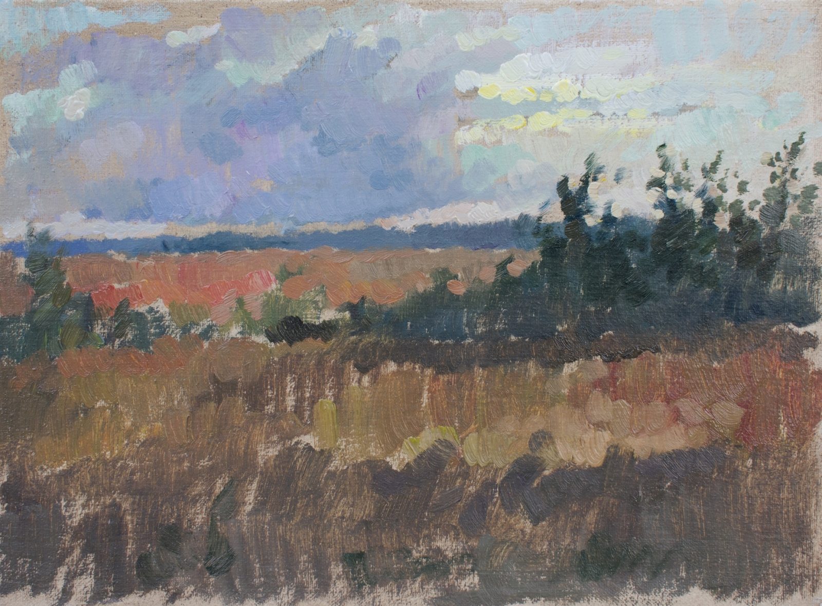 After the rain
