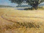 Rye field