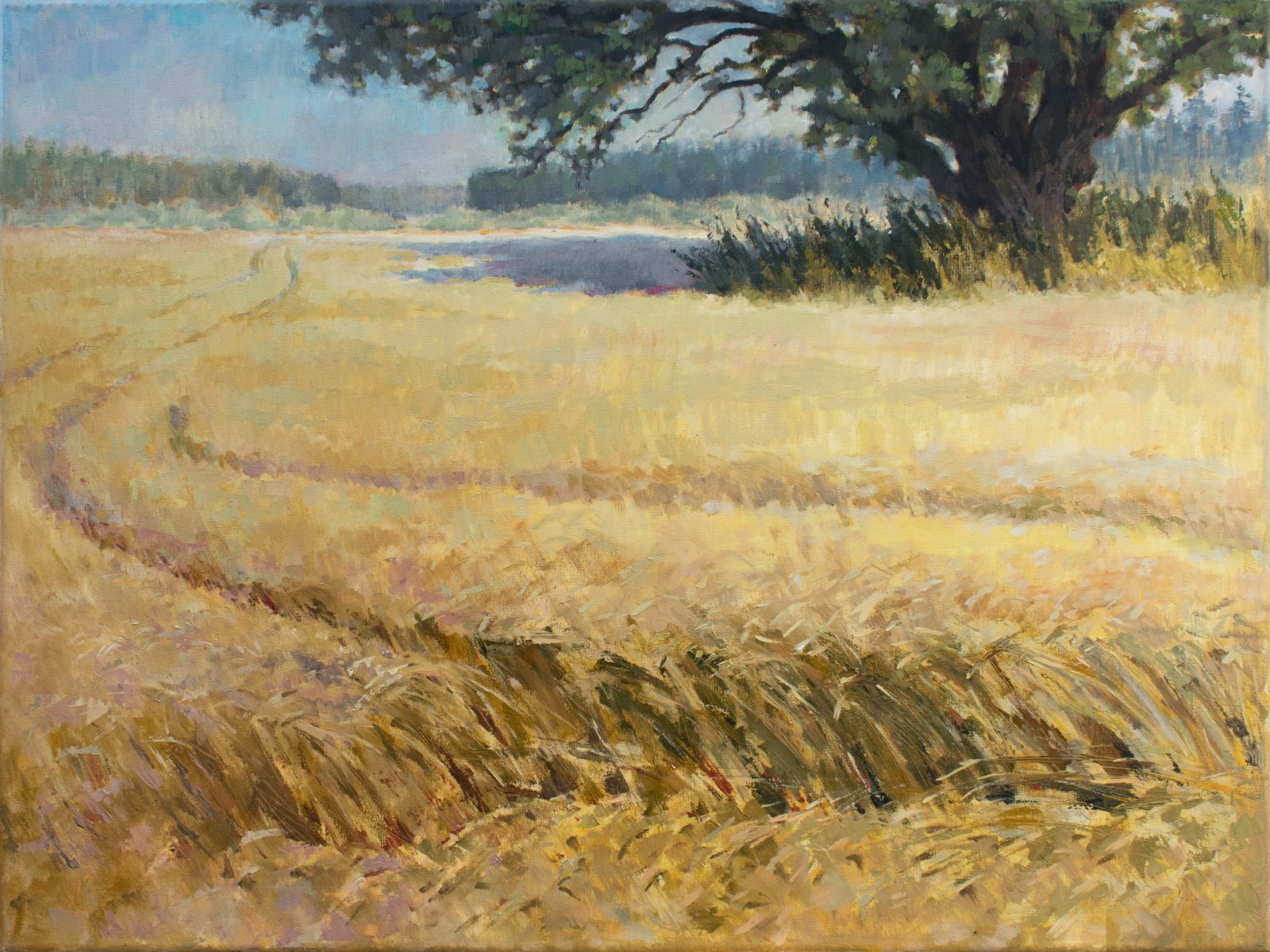 Rye field