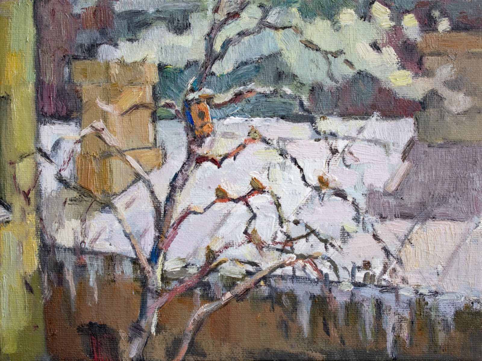 Sparrows on a birch, Riga