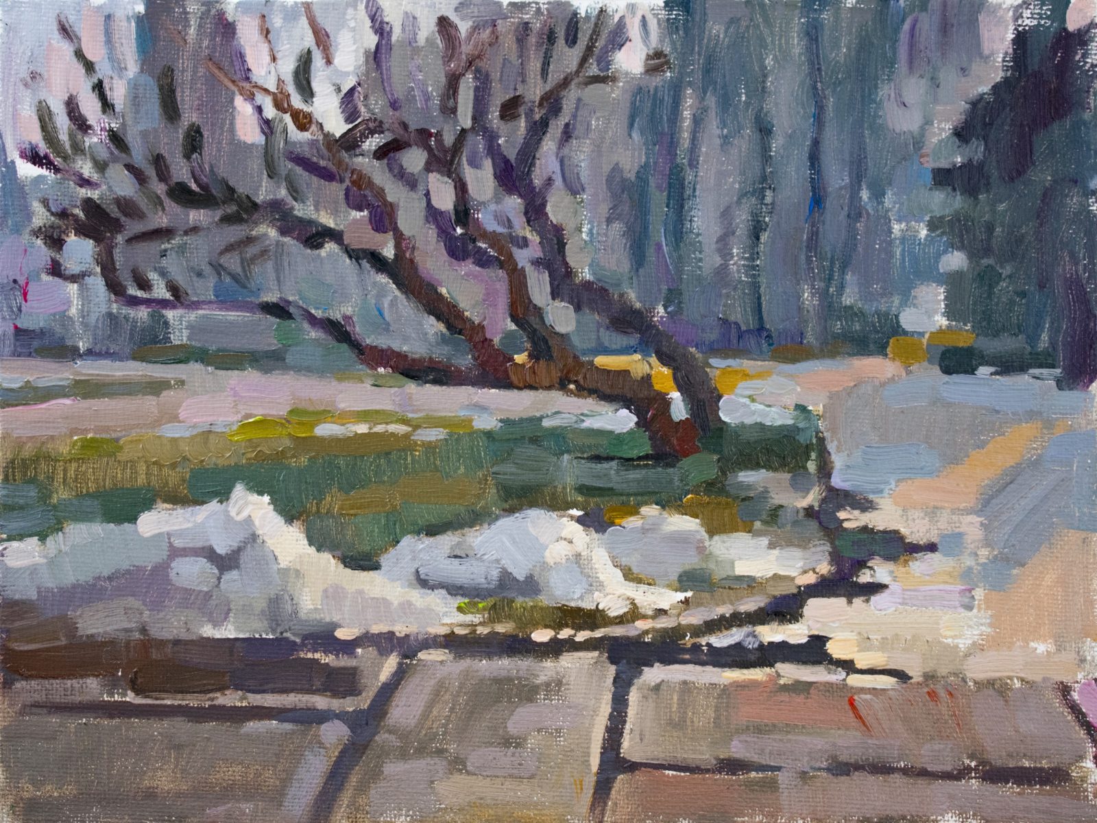 Etude with puddles and melting snow