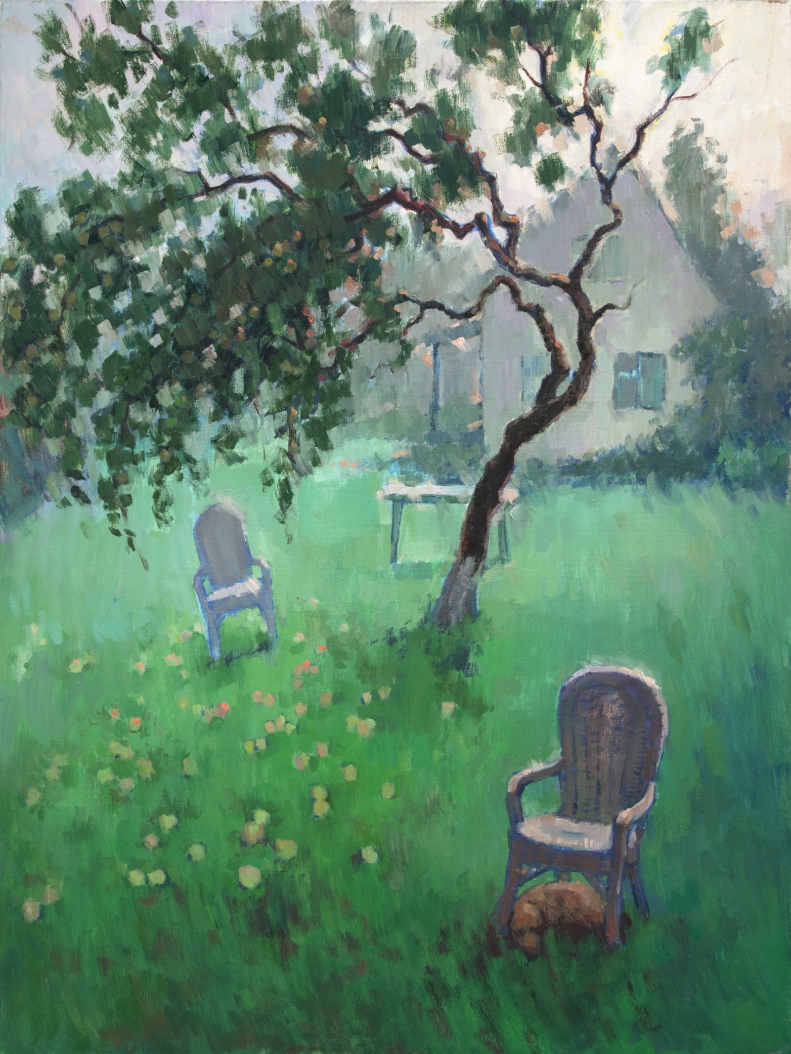 The garden after the rain