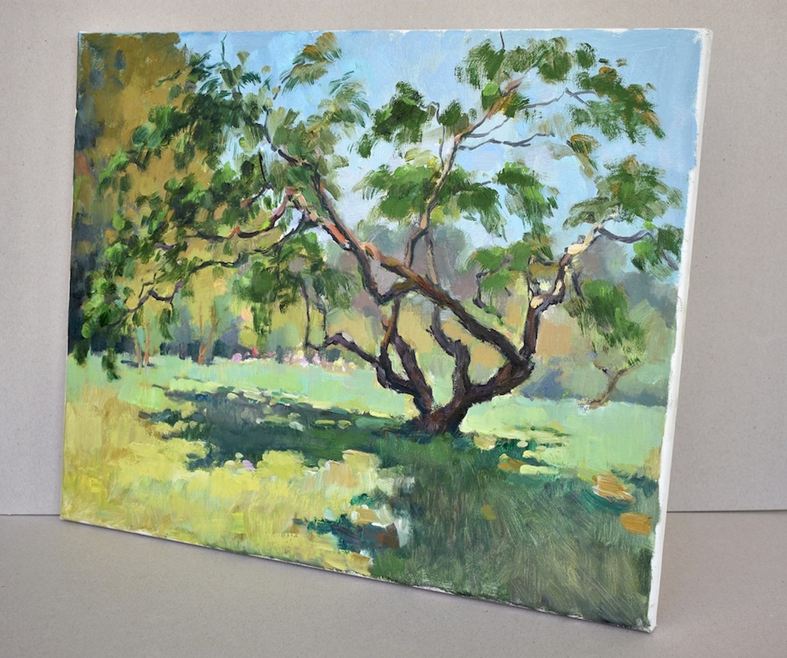 The bush in the botanical garden - Image 4