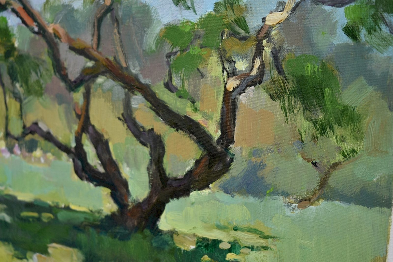 The bush in the botanical garden - Image 7