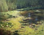 Pond in the Botanical Garden