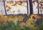 Sea view from the forest, Kolka