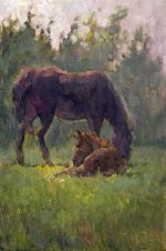 Horses