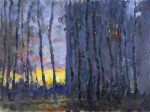 Evening, Sunset, Birches