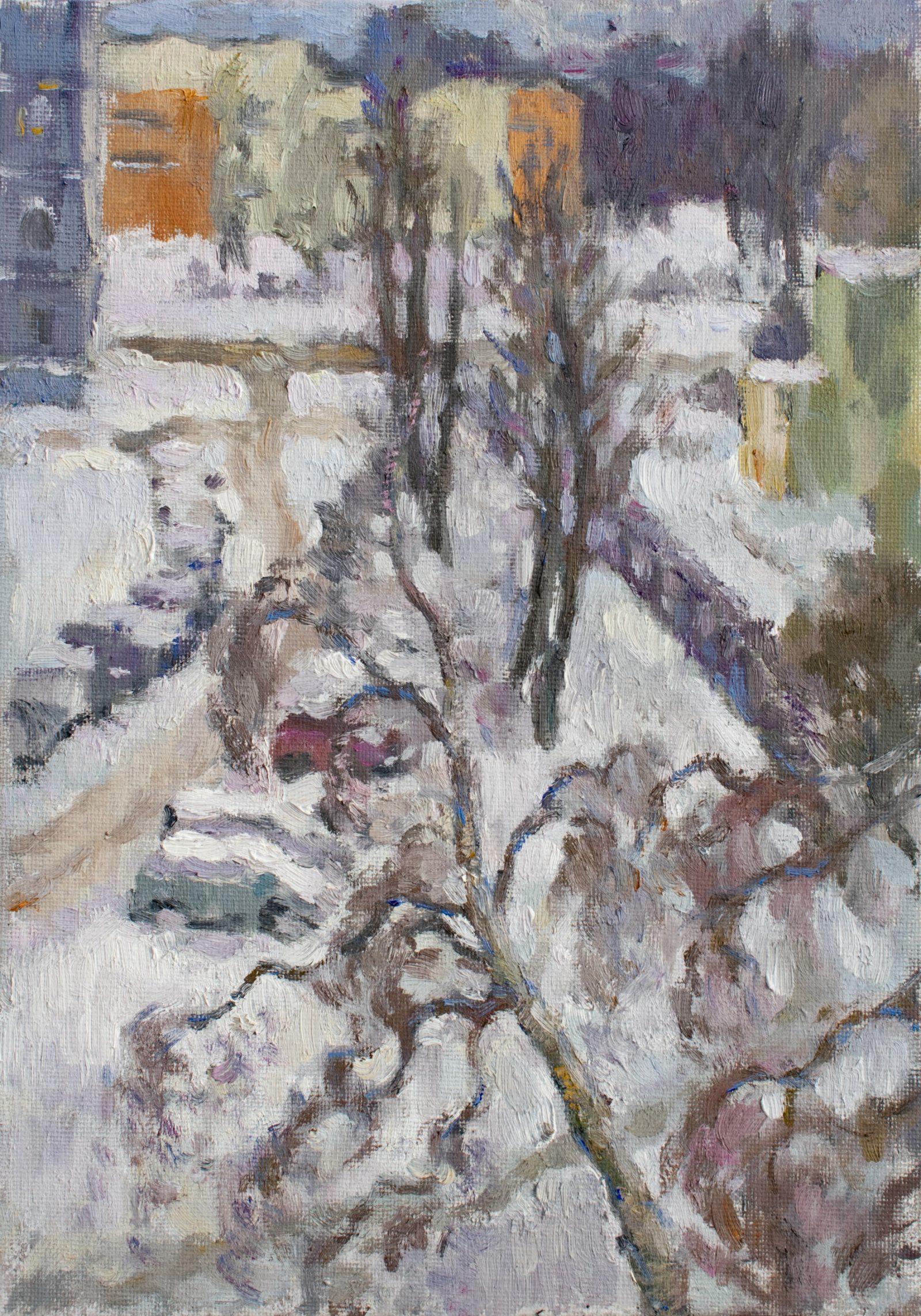 Snow in my yard