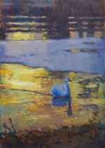 Swan