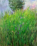 Evening field with butterflies