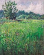 The field in the august. Spilve