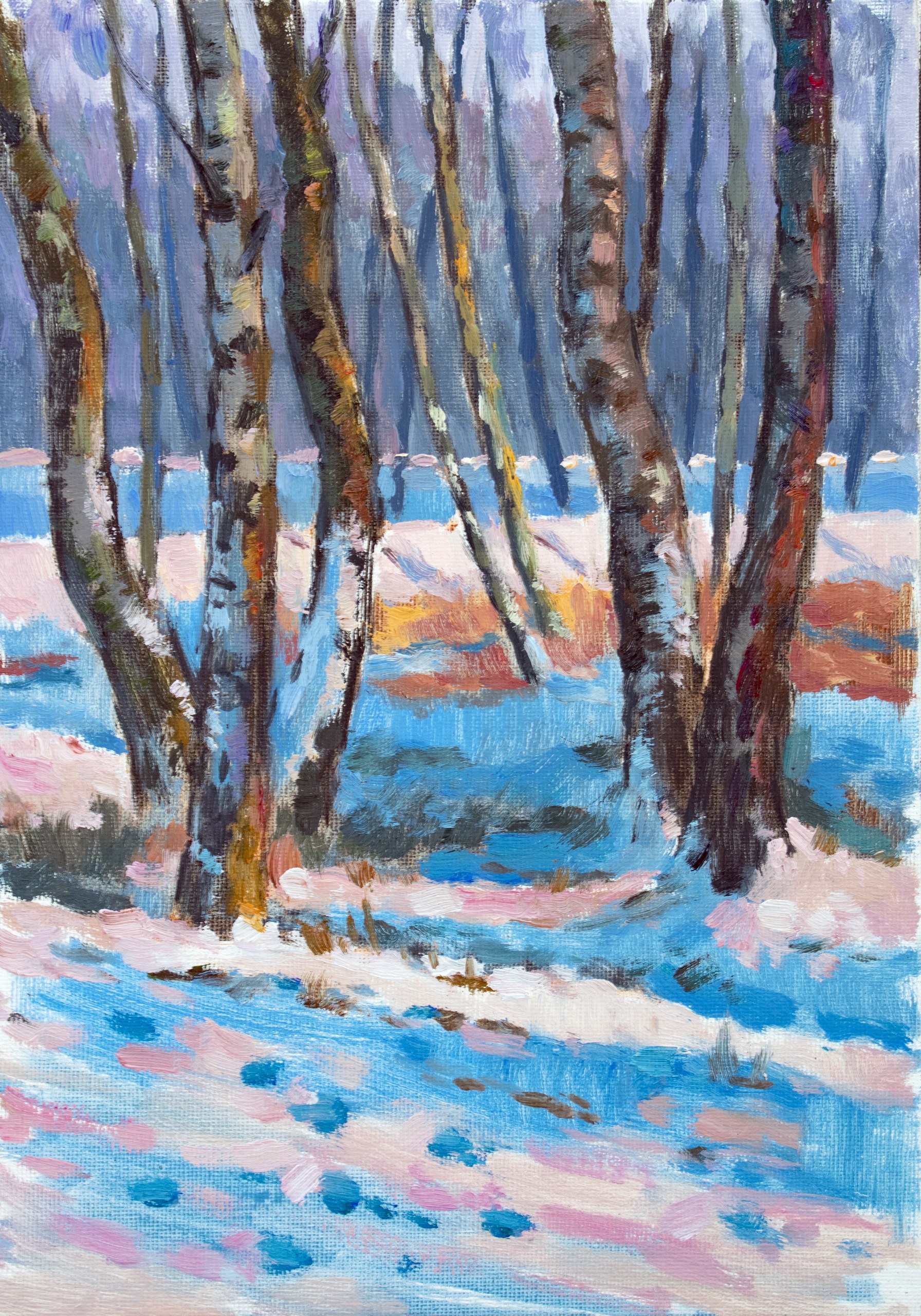 View at birches VBP230301 P230301 View at birches