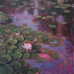 Water lilies