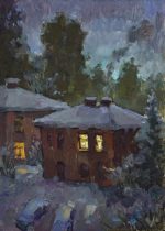 A snowy yard at night