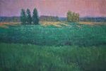 Field at sunset
