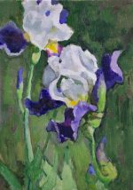 Irises