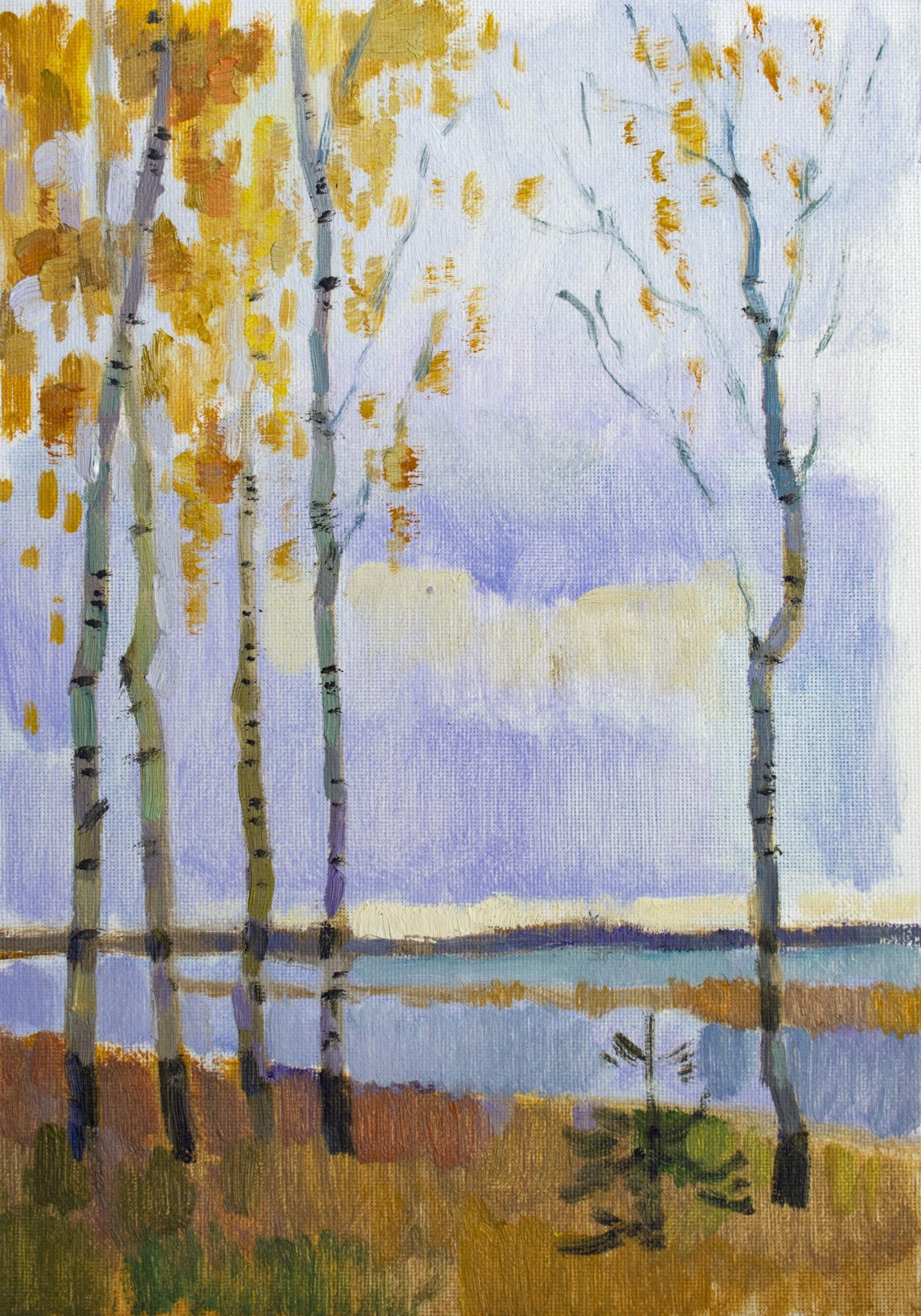 Autumn stillnes