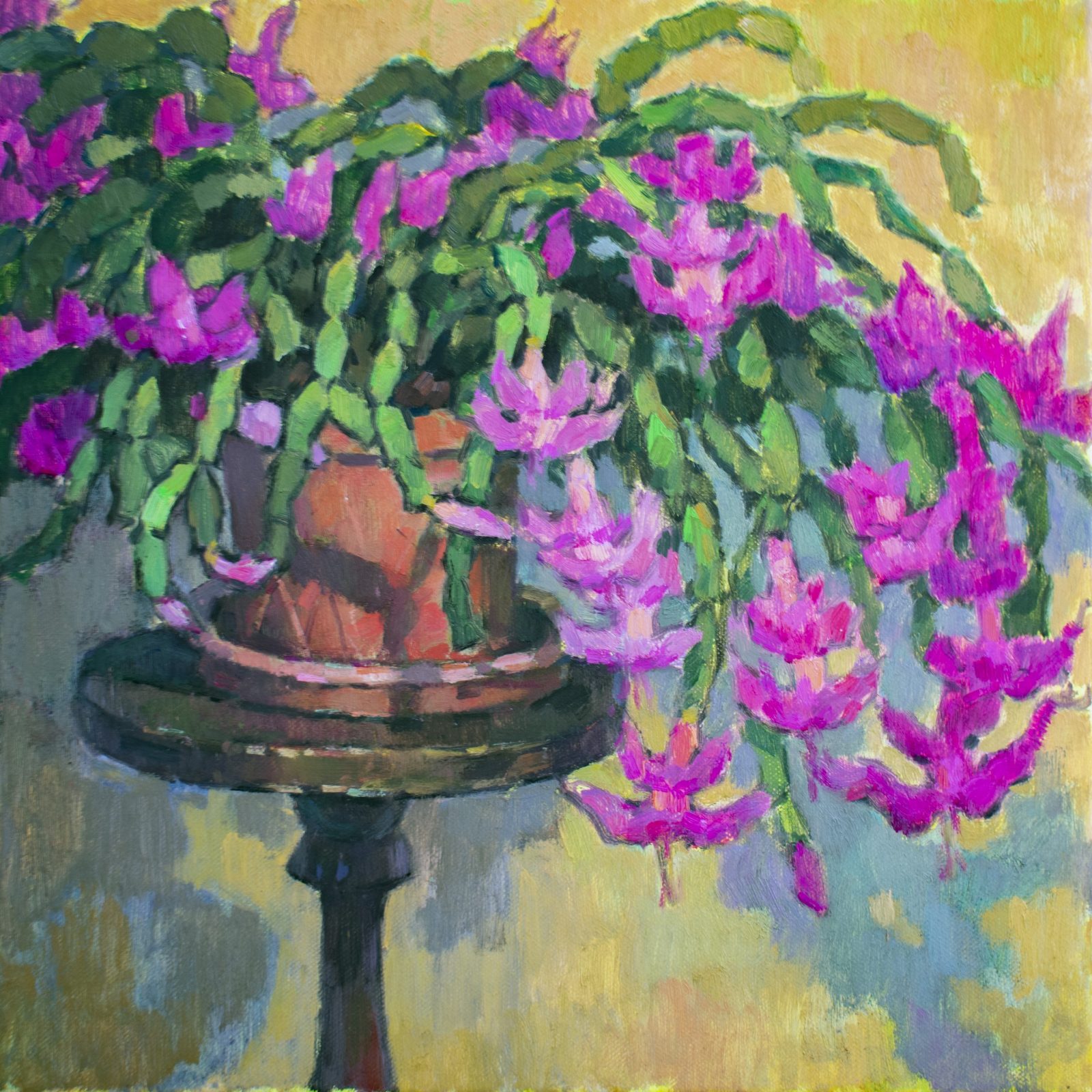Blooming Decembrist